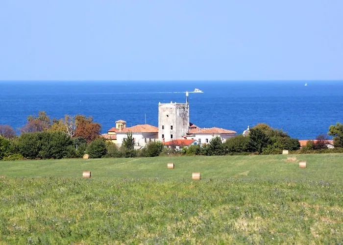 Apartment By The Sea Dajla, Novigrad - 3376