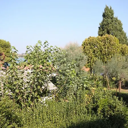 By The Sea Dajla, Novigrad - 3376 Apartment *